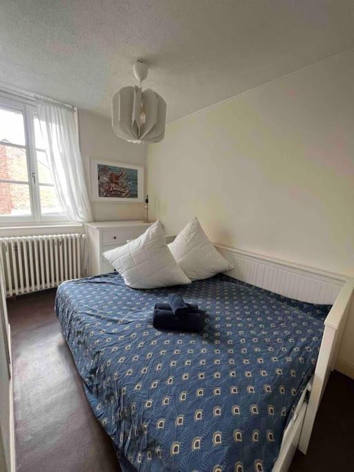 Ravissante Maison De Pecheurs Trouville Proche Centre Et Gare 외부 사진